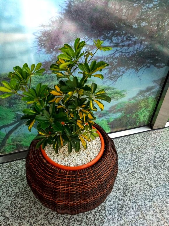 Round Sythentic Rattan Planter