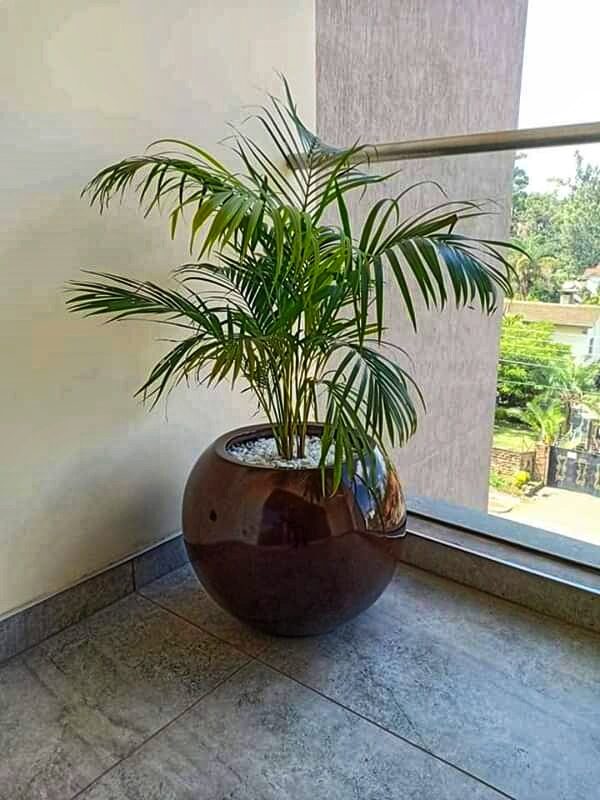 Eclipse fiber planter - Image 3