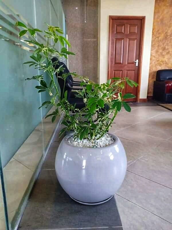 Eclipse fiber planter - Image 4