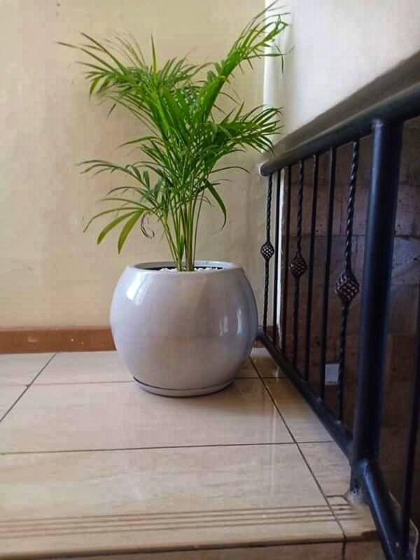 Eclipse fiber planter - Image 2