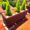 Trio Latin basket planter